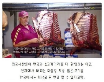 소고기 마블링의 진실~ 헉!!