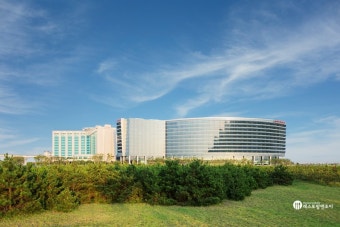 [인천 맛집 베스트10] 인천공항, 송도 등에 위치하고, 분위기가 너무 좋은 커플 데이트 강추 레스토랑!