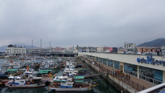 삼천포용궁수산시장