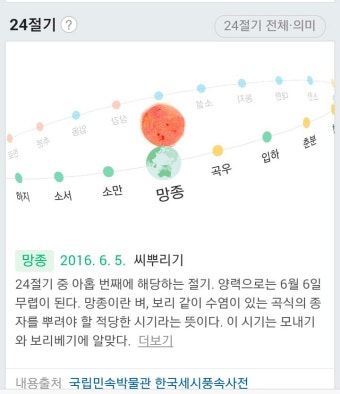 망종 24 절기망종 망종의뜻 망종의속담 망종음식 매실수확시기 망종화효능