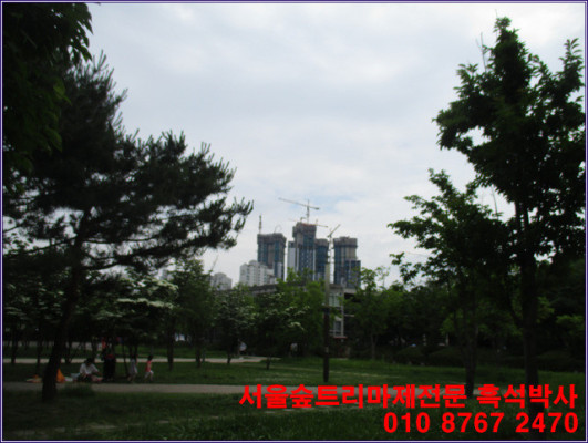 [서울숲트리마제] 성수동아파트 서울숲트리마제  서울숲이 좋아요? 트리마제가? | 블로그