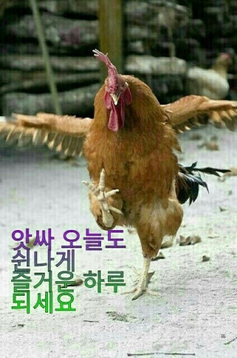 6월 30일 목요일
