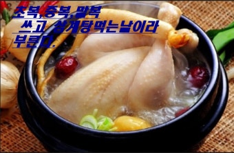 초복 중복 말복 2016 날짜 삼계탕 먹는 날