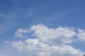 폭염주말 :: 강남역, 평창, 블루캐니언 