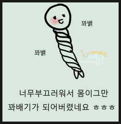 자미당 이미지