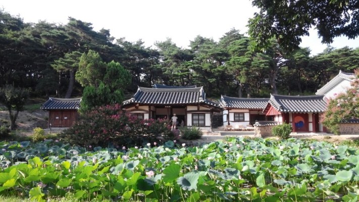 경주 연꽃이 아름다운 곳 종오정 | 블로그