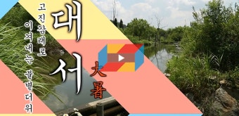 더위 가장 심해지는 때 '대서'