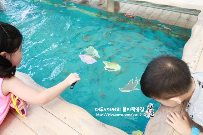 광주 서방천과 도심 하천 물고기 집단 폐사…당국, 조사에 착수!