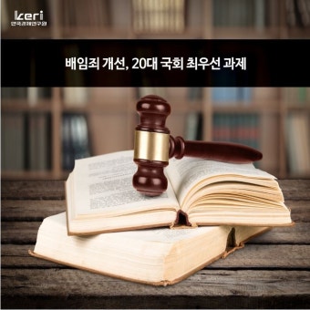 배임죄 개선, 20대 국회 최우선 과제