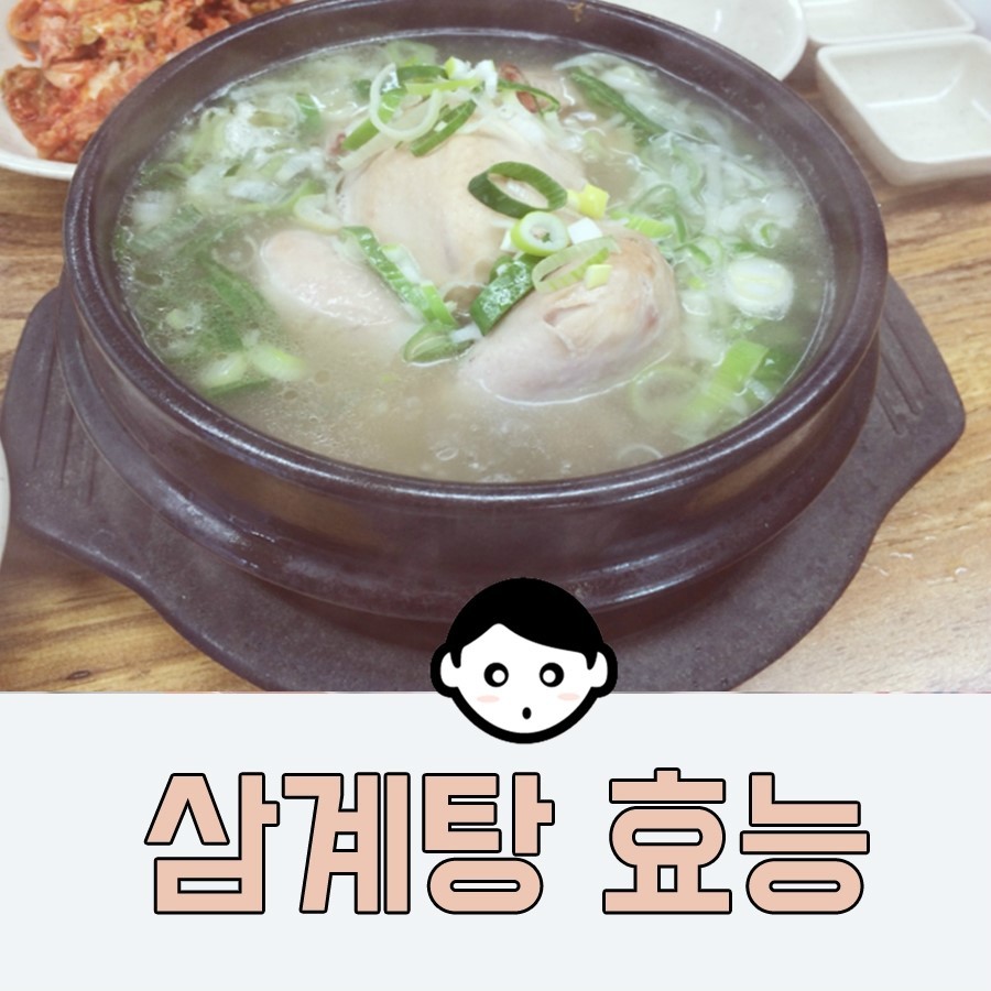 말복 맞이, 삼계탕 나눔으로 어르신들 건강과 행복 챙긴 풍경
