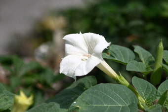 음주운전