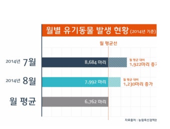 반려동물 유기문제! 이대로 좋은가
