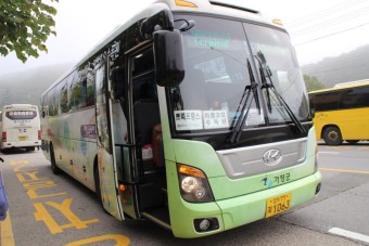 흥미진진한 경기도 31개 시군의 매력을 찾아! - 가을 따라 떠나는 가평 여행지 시티투어버스로 가자