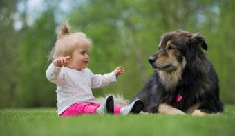 강아지와 아이 - 같이 키워도 될까?