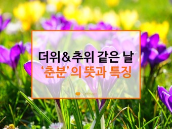 [춘분] 더위와 추위가 같은날 2017년 춘분의 뜻과 특징!