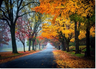 아름다운 가을 풍경 사진 100선