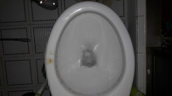 동작구 사당동 변기막힘 뚫는 방법