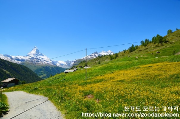 스위스 6월 날씨 옷차림 : 스위스 융프라우 6월 날씨 | 블로그