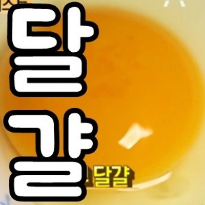 서민갑부 달걀 정보! 청솔원 계란(유정란) | 블로그