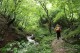 소똥령 숲길 칡소폭포 자연숲에서의 완벽한 힐링