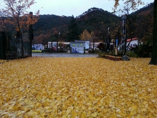 강릉수련원 강릉영화마을수련원 | 블로그