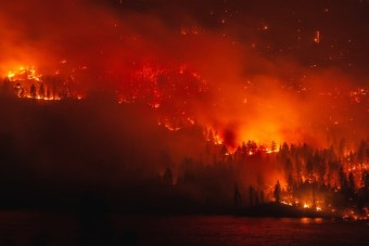 캐나다 산불, 559곳 불타고 2만명 대피 대기령!