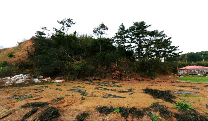 [S-08] 태안 토지매매 - 소원면 법산리 바지락마을 바닷가 토지 | 블로그
