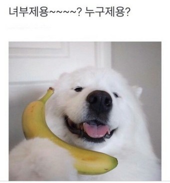 안구정화 동물 짤 ㅎㅎ