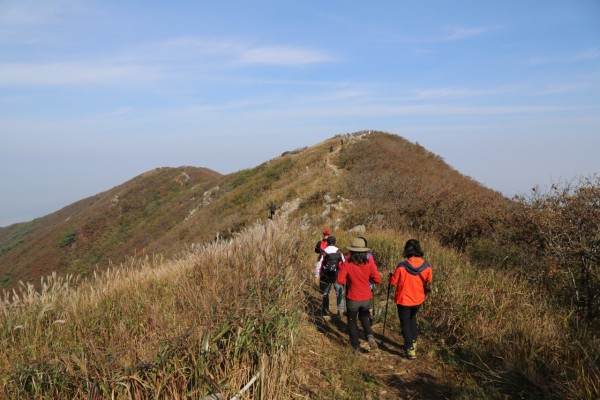 홍성 오서산 최단거리 등산코스 오서산 억새 축제 가을 은빛 억새를 만나다 | 블로그
