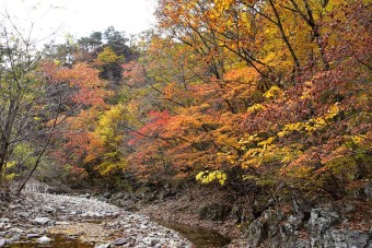 주왕산, 가을 단풍과 함께 담아온 풍경 사진 - 2018년 10월 27일(토)