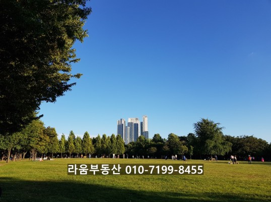 고급주택 서울숲 갤러리아포레 90평 매매(한강뷰+서울숲조망) | 블로그