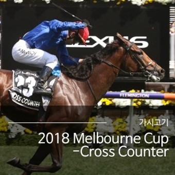 2018 Melbourne Cup-Cross Counter | 가시고기, 코리아레이스경마