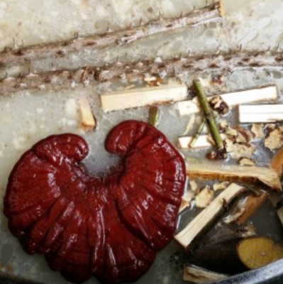 장작불로 가마솥에 끓여낸 6시내고향 경남 산청 약초곰탕 파는곳 11월 22일 방송 | 블로그