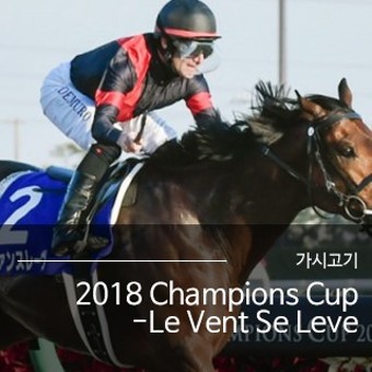 2018 Champions Cup-Le Vent Se Leve  | 가시고기,코리아레이스경마