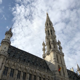 벨기에여행 : 브뤼셀 그랑플라스 광장 야경대박!! (감자튀김, 와플, 주변관광,긴글주의)
