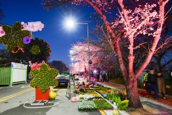 서울 벚꽃 명소 영등포 여의도봄꽃축제