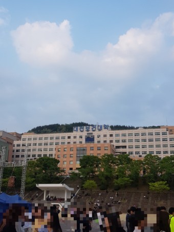 대전 보건대학교 축제