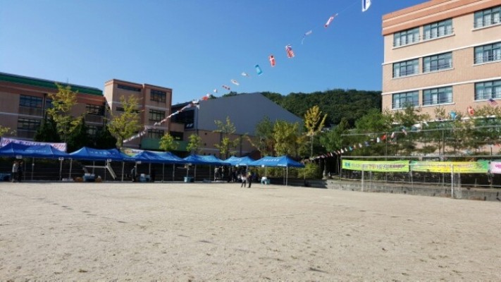 성남 낙생고등학교 총 동문 체육대회 | 블로그