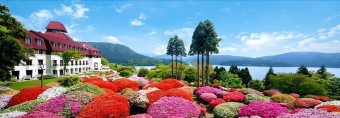 [일본온천여행] 3천 그루의 철쭉과 후지산 절경이 조화를 이루는 호텔에서 온천 즐기기