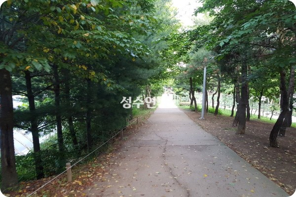 서울숲나들이코스 자연생태숲부터 서울숲 한강공원까지! | 블로그