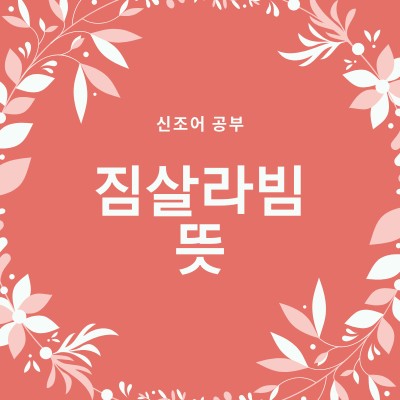 짐살라빔(Zimzalabim) 뜻 레드벨벳 신곡 | 블로그