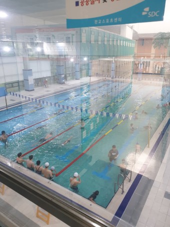 [수영] 분당 수영장 판교스포츠센터 일일수영 자유수영 가격 시간