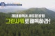 브로콜리새싹 분말 효