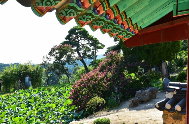 경주 '종오정' 배롱나무 정원을 다녀왔다. | 블로그