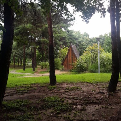 서울숲 데이트: 숲세권 아파트(갤러리아포레/아크로포레스트) | 블로그