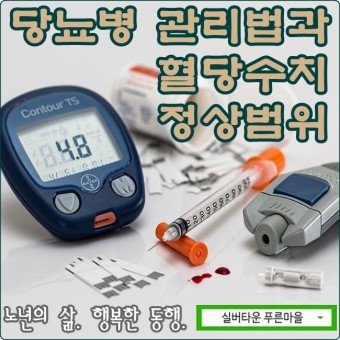 [경기도실버타운/강화실버타운] 푸른마을과 알아보는 당뇨병 관리법과 혈당수치