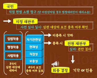 35. <헌법 소원> + 위헌심사형 헌법소원 vs 위헌법률심판