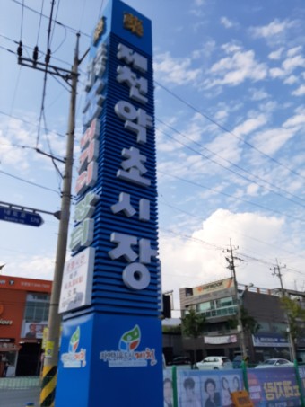 충청북도 제천 ‘제천약초시장’에 가서 2019년 9월 28일