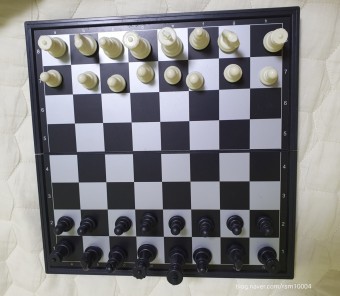 누구나 즐겨 할 수 있는 체스보드게임 엄마와 하는데 아들이 처음으로 이겼습니다^^