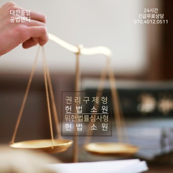 [여의도 헌법전문변호사가 알려주는] 권리구제형 헌법소원과 위헌법률심사형 헌법소원